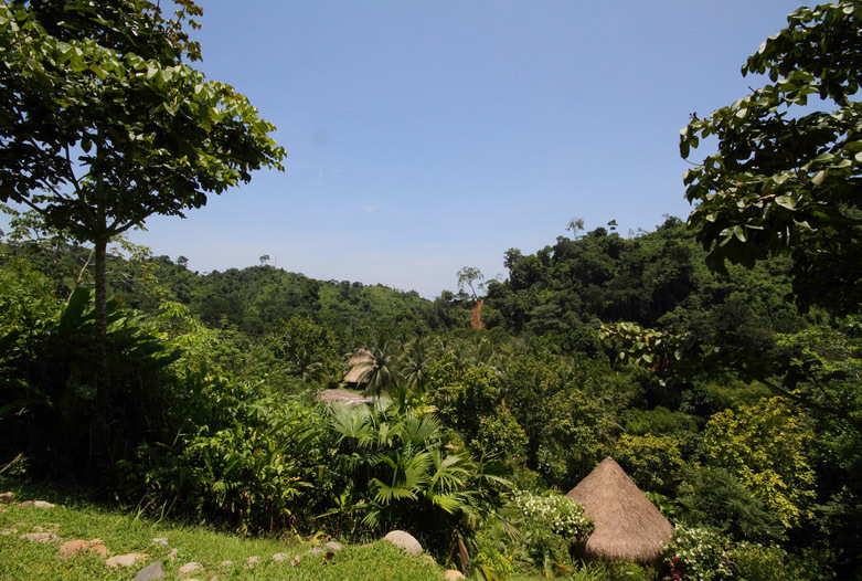 Kolumbien Reisen | Landschaft, Tayrona