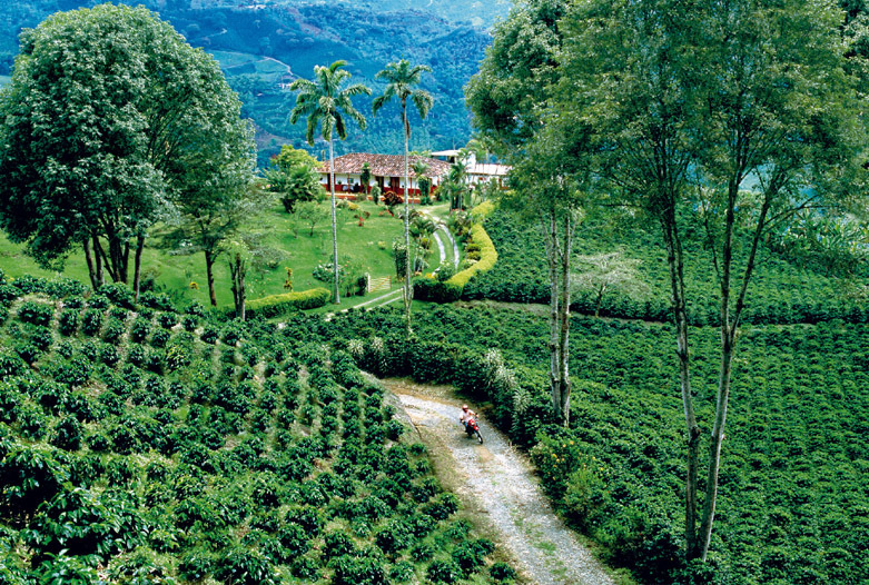 Kolumbien Reisen | Hacienda im Kaffeedreieck