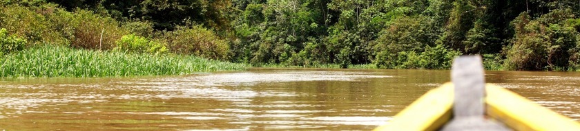 reise-nach-Kolumbien--Fluss-amazonas.jpg
