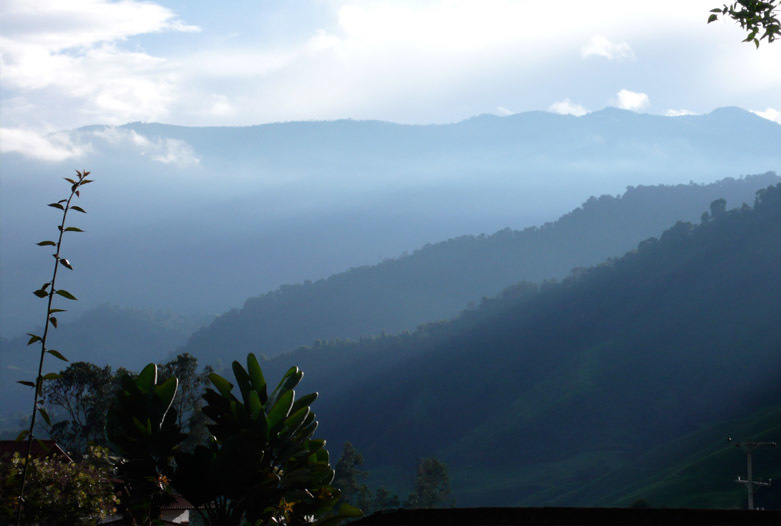 Kolumbien Reisen | Landschaft, Kaffeedreieck